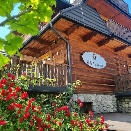 Willa Antalowka Zakopane Bagian luar foto