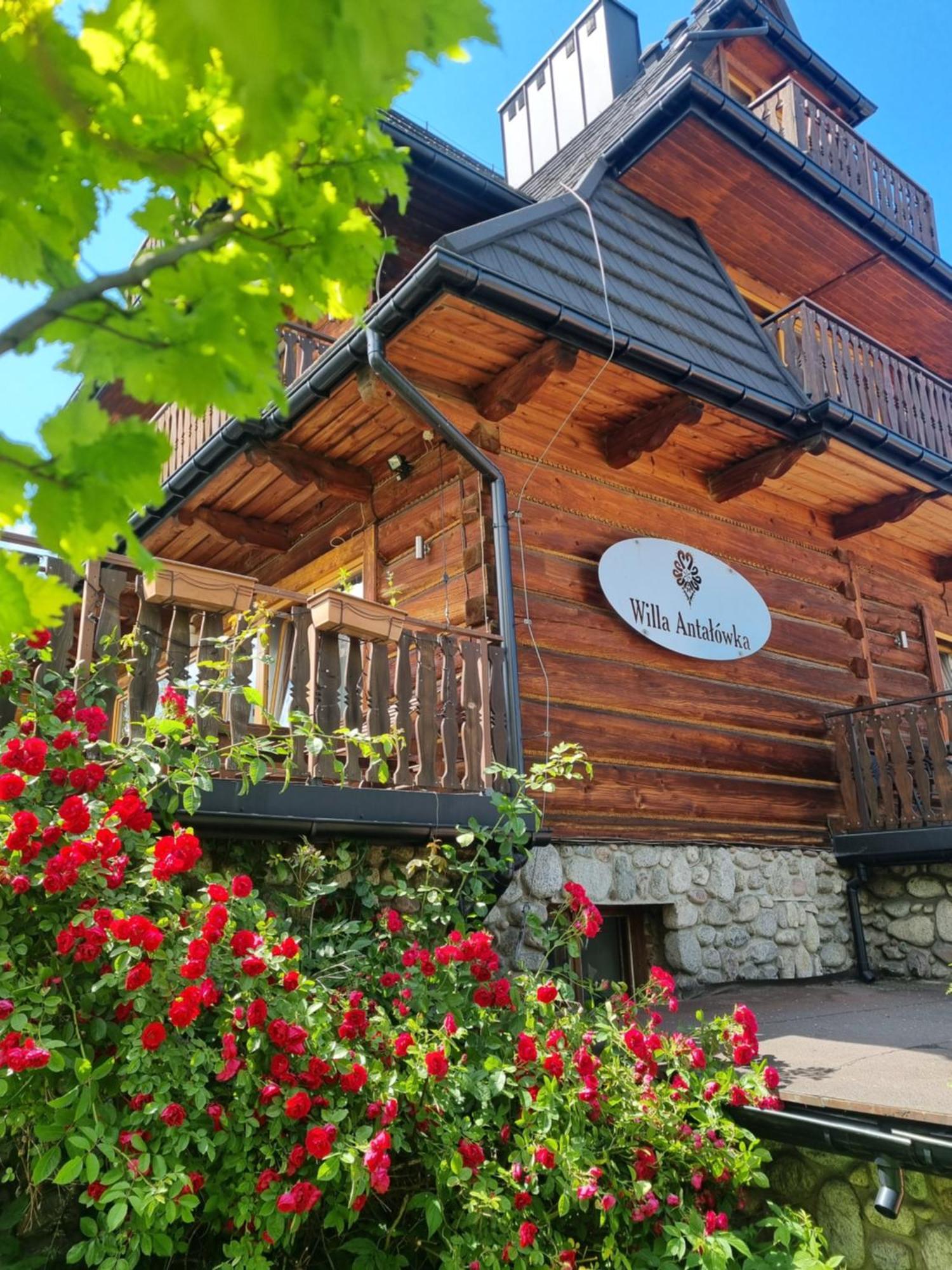 Willa Antalowka Zakopane Bagian luar foto